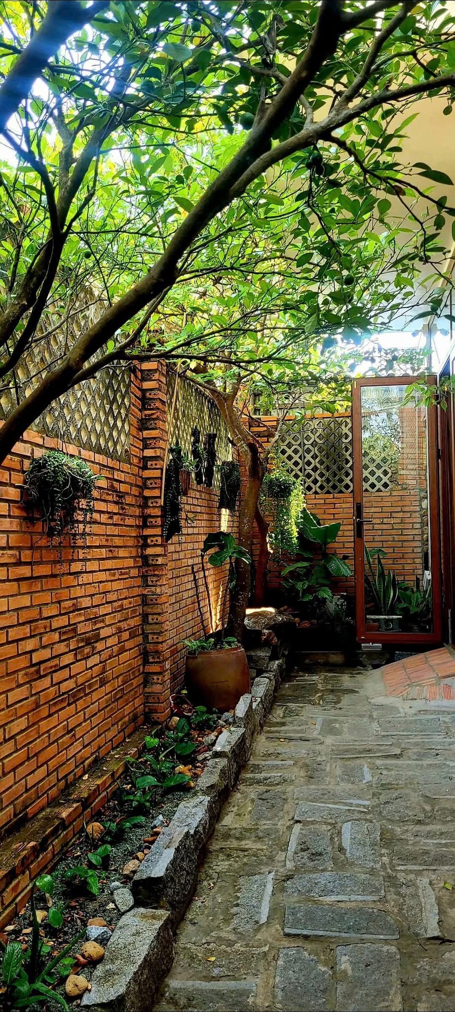 Lối đi lát đá bên hông nhà dưới tán cây, tường gạch gắn giỏ cây treo