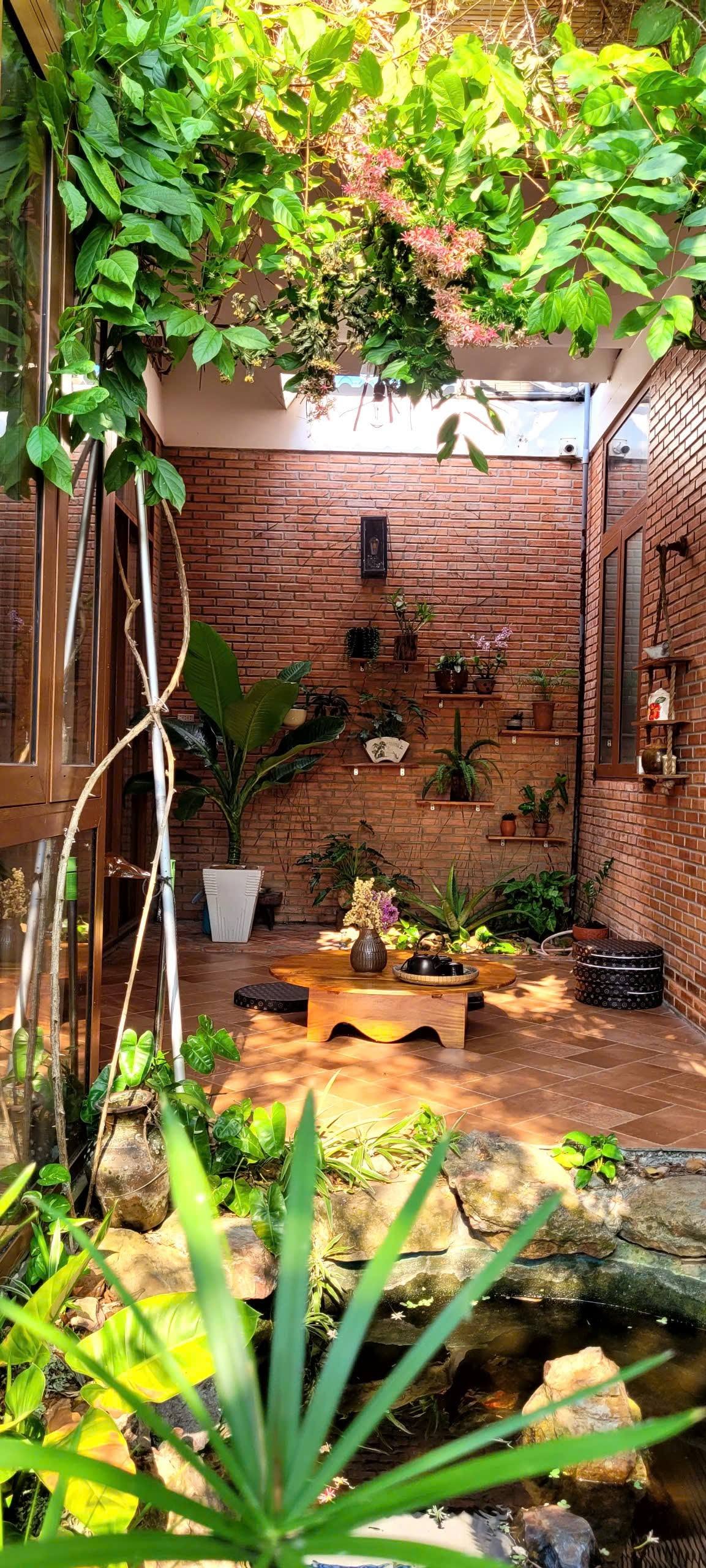 Sân trong có hồ cá và bàn trà gỗ thấp, tường gạch treo lan và dương xỉ, giàn cây phủ kín phía trên
